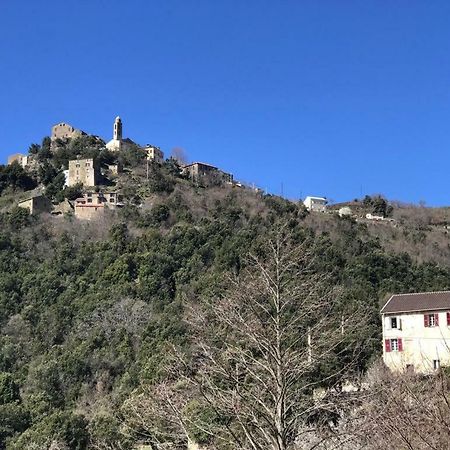 Camping L'Agrottu Au Coeur De La Corse Santa-Lucia-di-Mercurio Buitenkant foto