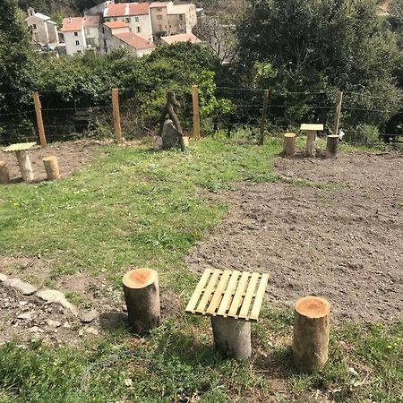 Camping L'Agrottu Au Coeur De La Corse Santa-Lucia-di-Mercurio Buitenkant foto