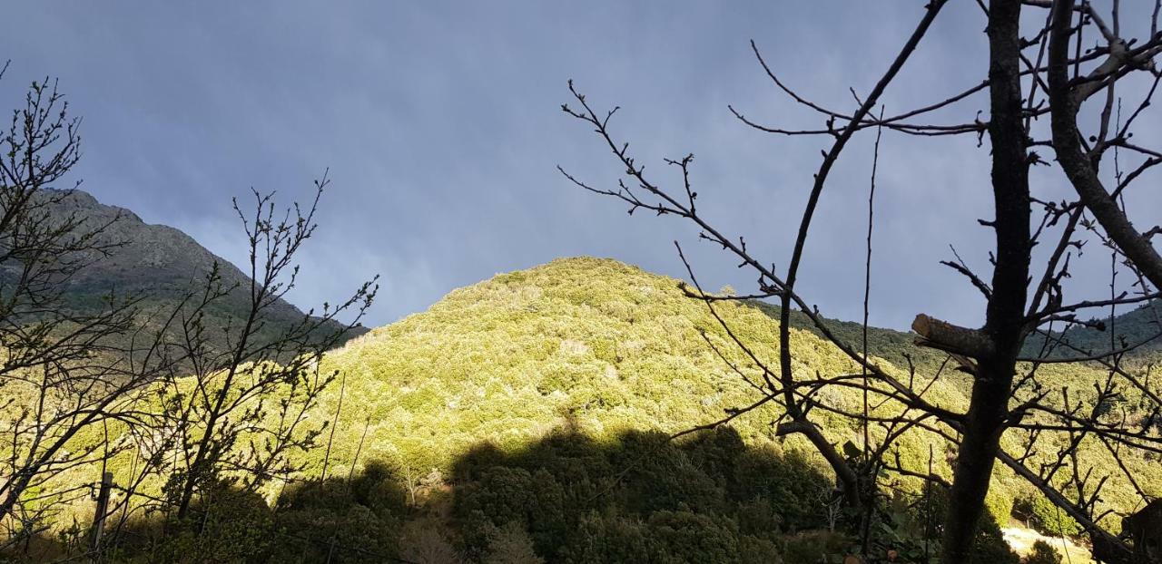 Camping L'Agrottu Au Coeur De La Corse Santa-Lucia-di-Mercurio Buitenkant foto