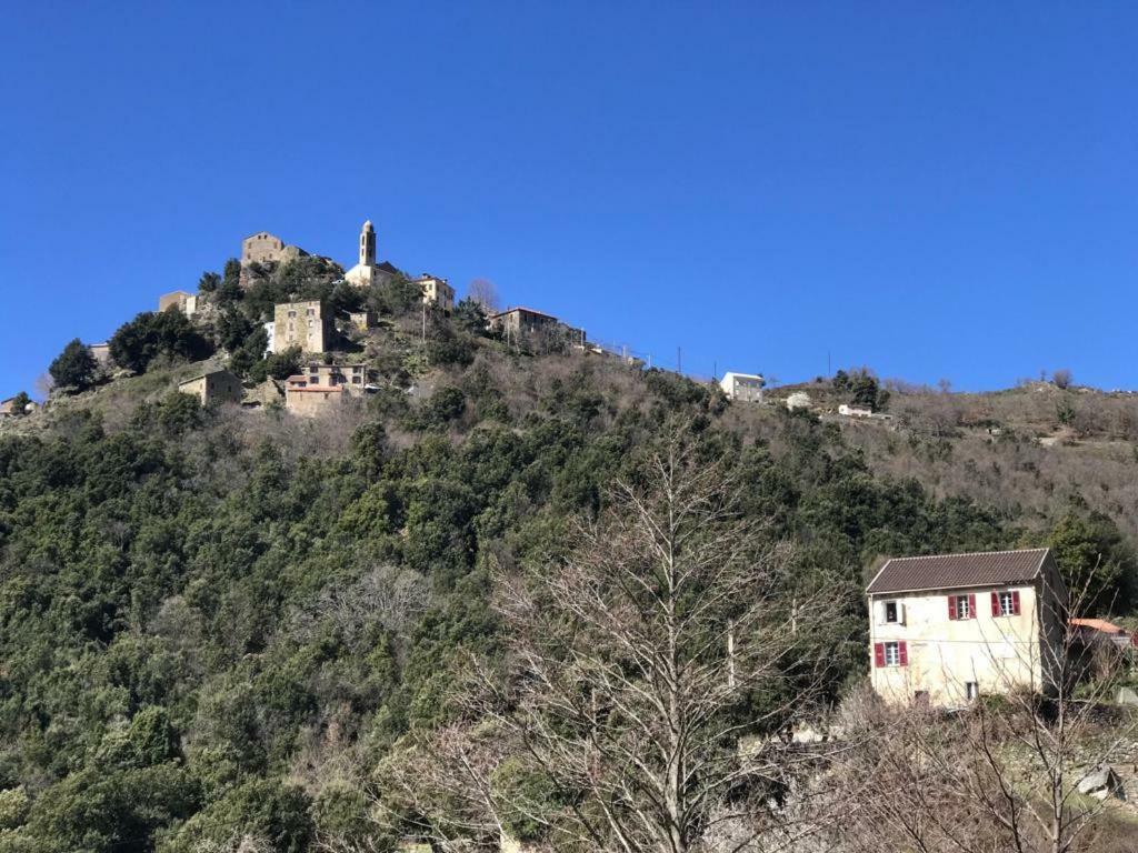 Camping L'Agrottu Au Coeur De La Corse Santa-Lucia-di-Mercurio Buitenkant foto