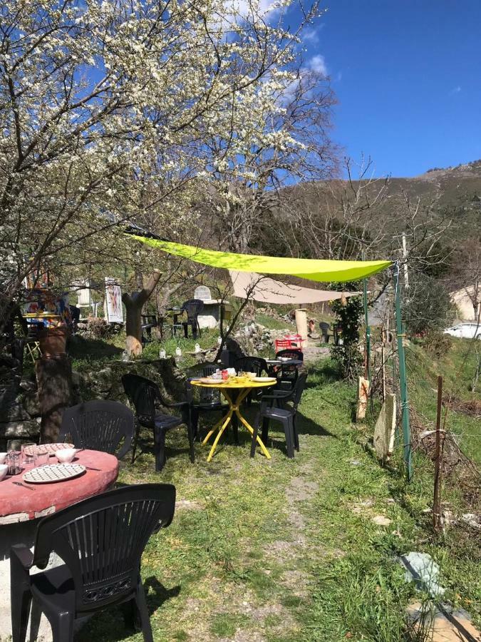Camping L'Agrottu Au Coeur De La Corse Santa-Lucia-di-Mercurio Buitenkant foto