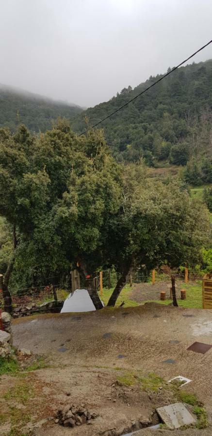 Camping L'Agrottu Au Coeur De La Corse Santa-Lucia-di-Mercurio Buitenkant foto