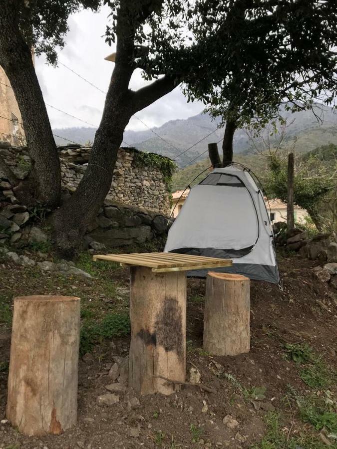 Camping L'Agrottu Au Coeur De La Corse Santa-Lucia-di-Mercurio Buitenkant foto