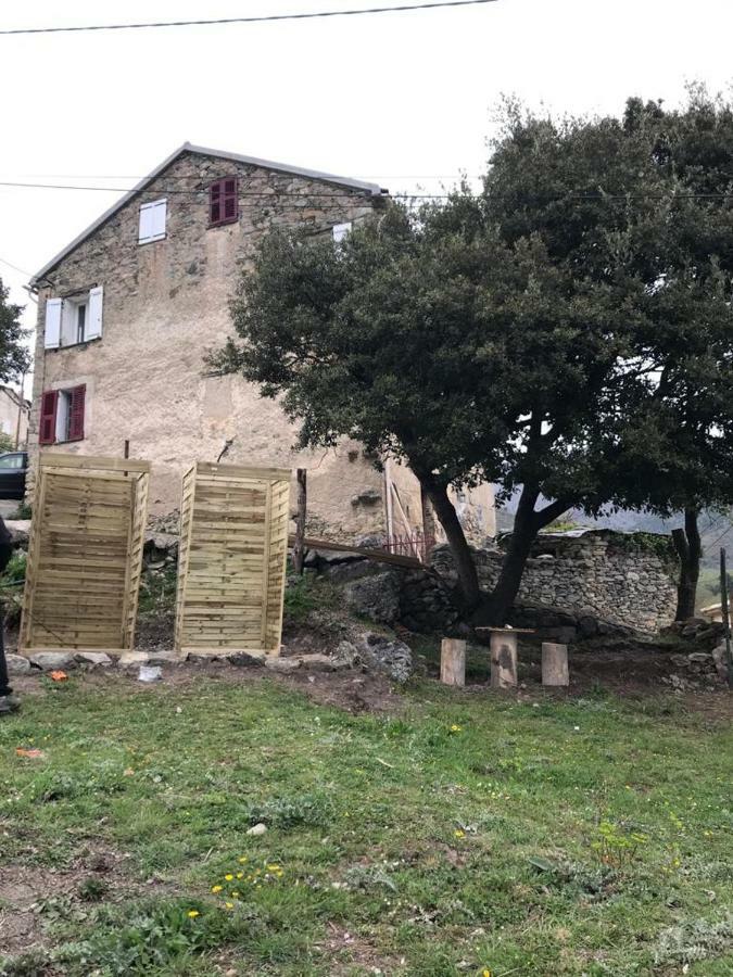 Camping L'Agrottu Au Coeur De La Corse Santa-Lucia-di-Mercurio Buitenkant foto