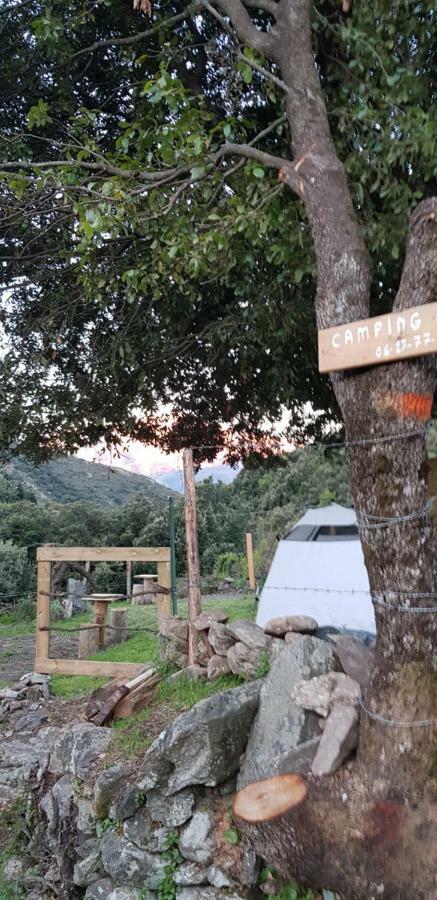 Camping L'Agrottu Au Coeur De La Corse Santa-Lucia-di-Mercurio Buitenkant foto