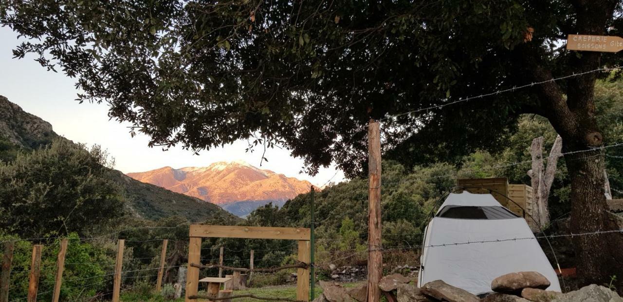 Camping L'Agrottu Au Coeur De La Corse Santa-Lucia-di-Mercurio Buitenkant foto
