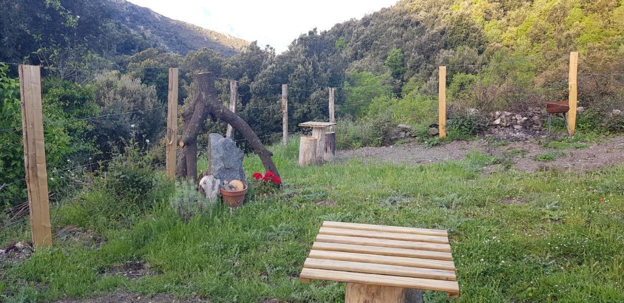 Camping L'Agrottu Au Coeur De La Corse Santa-Lucia-di-Mercurio Buitenkant foto