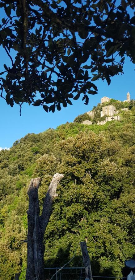 Camping L'Agrottu Au Coeur De La Corse Santa-Lucia-di-Mercurio Buitenkant foto